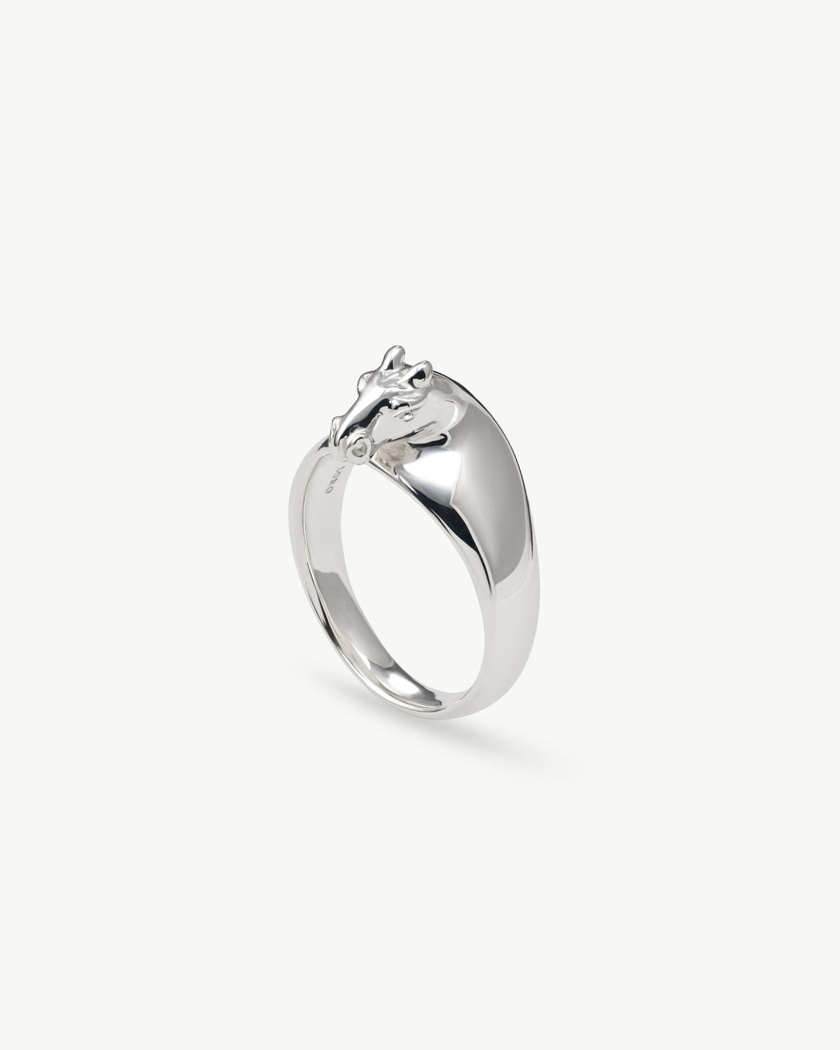 horse ring 01