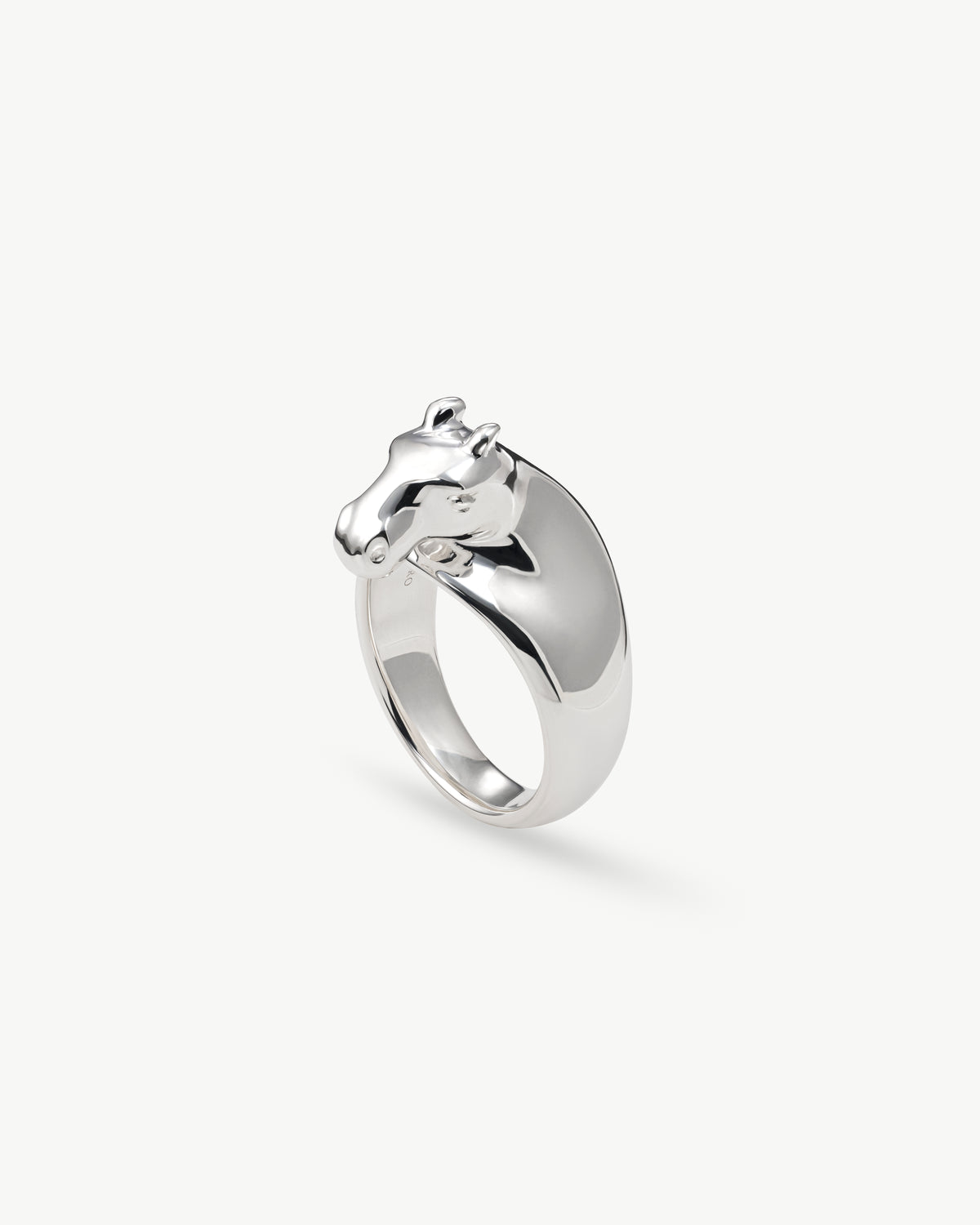 horse ring 02