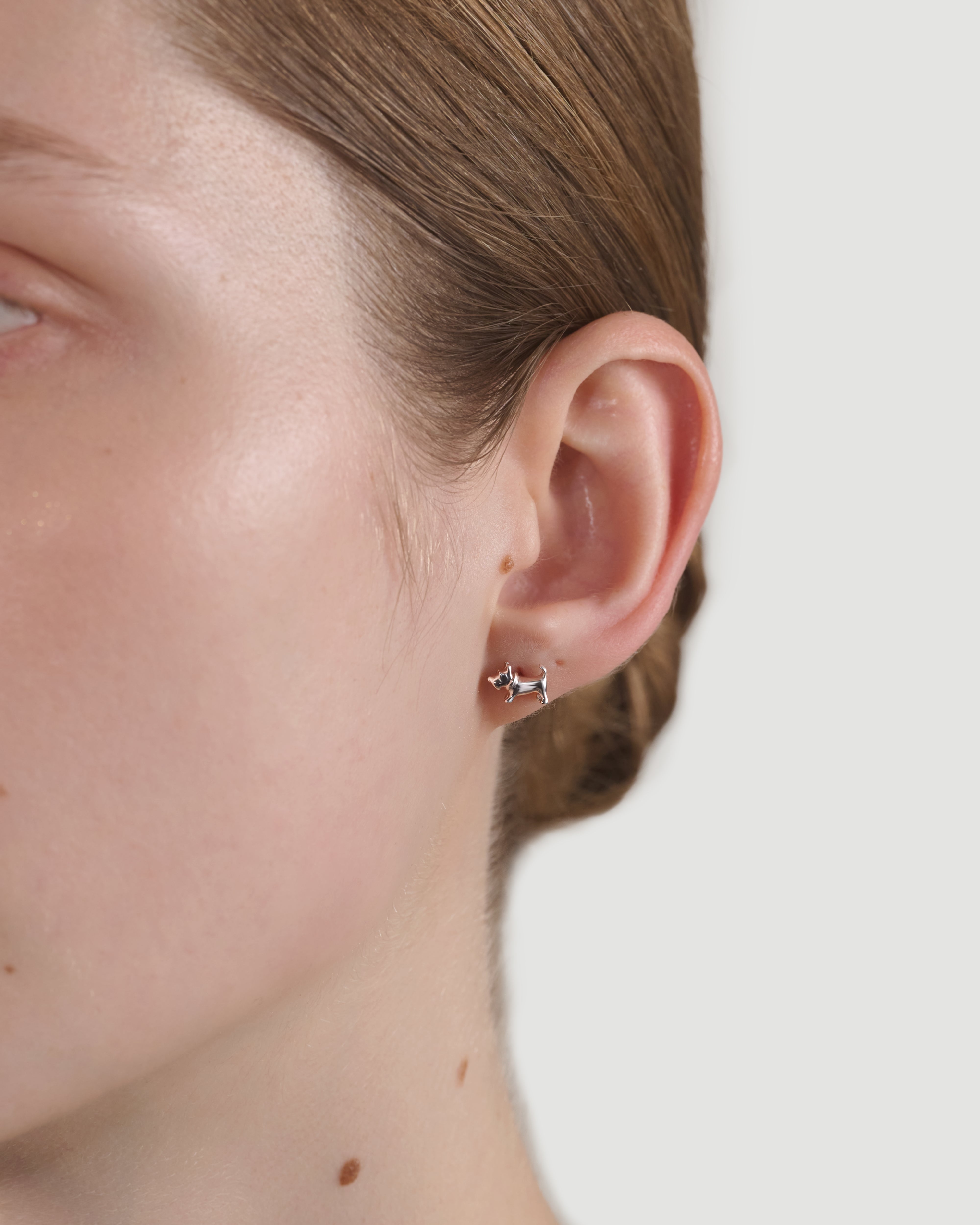 schnauzer pierce (佐伯様専用)