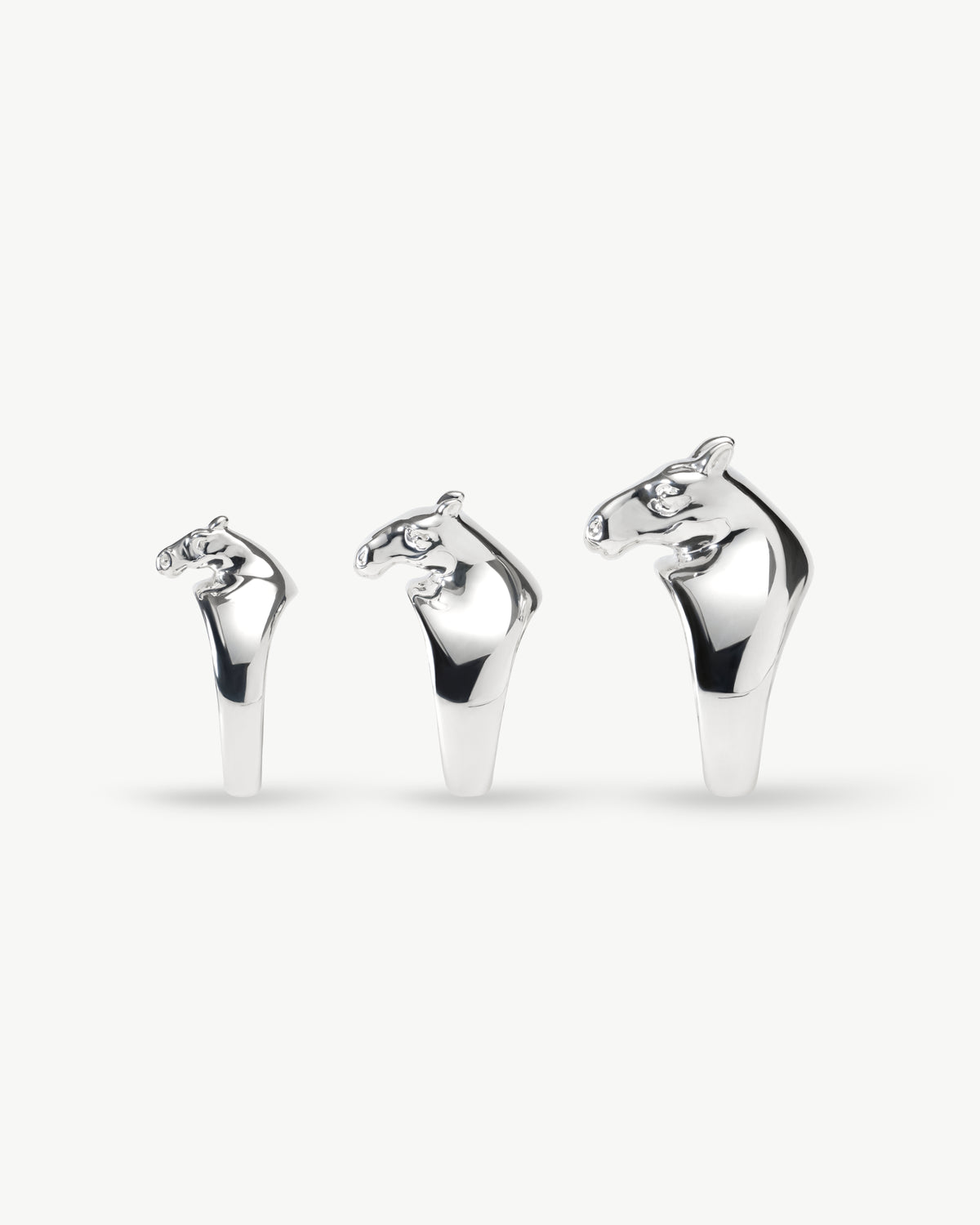 horse ring 01 pt900