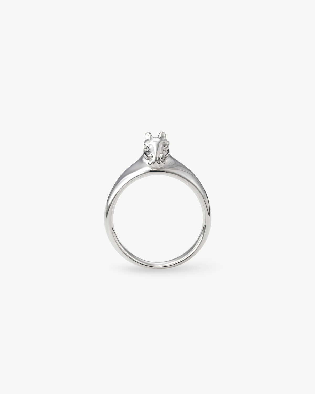 horse ring 01