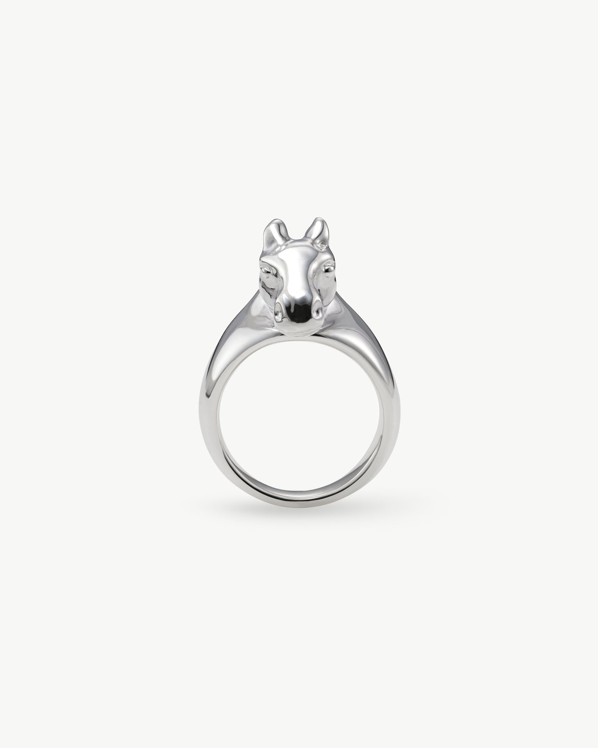 horse ring 03