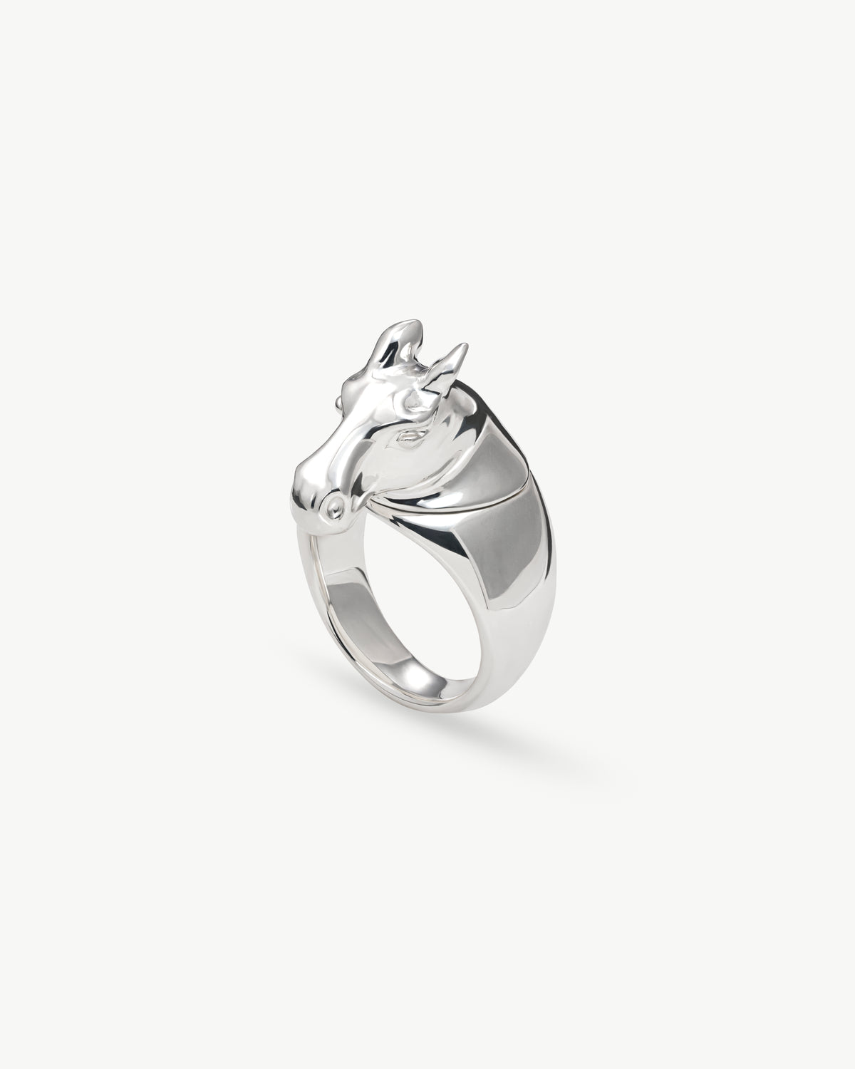 horse ring 04