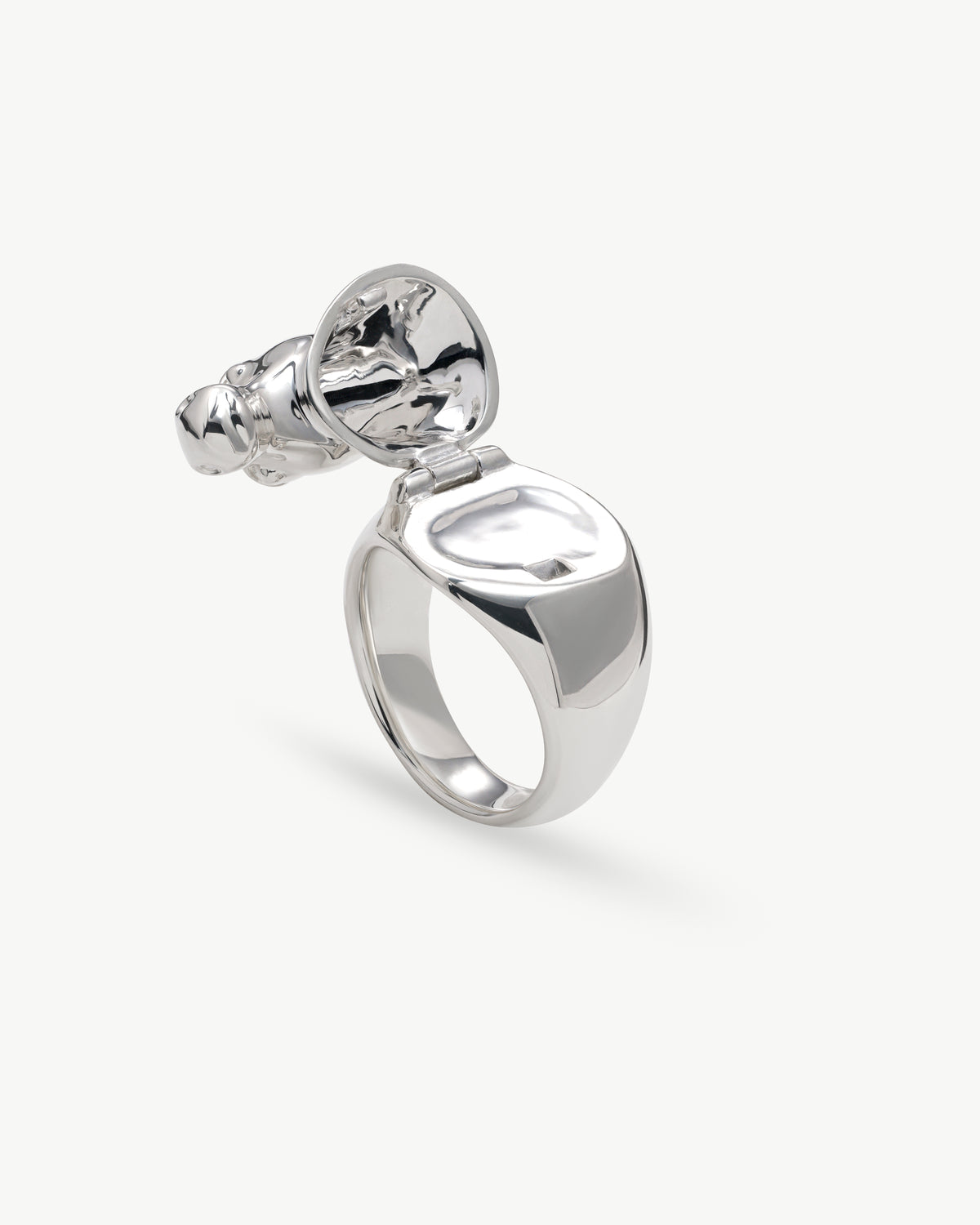 horse ring 04