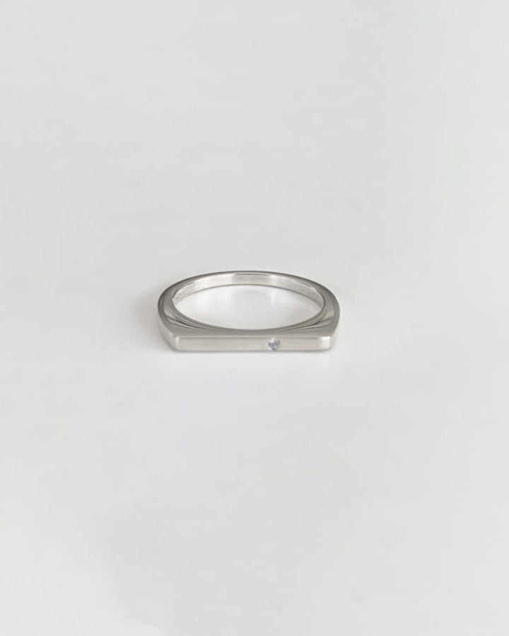 D ring 04