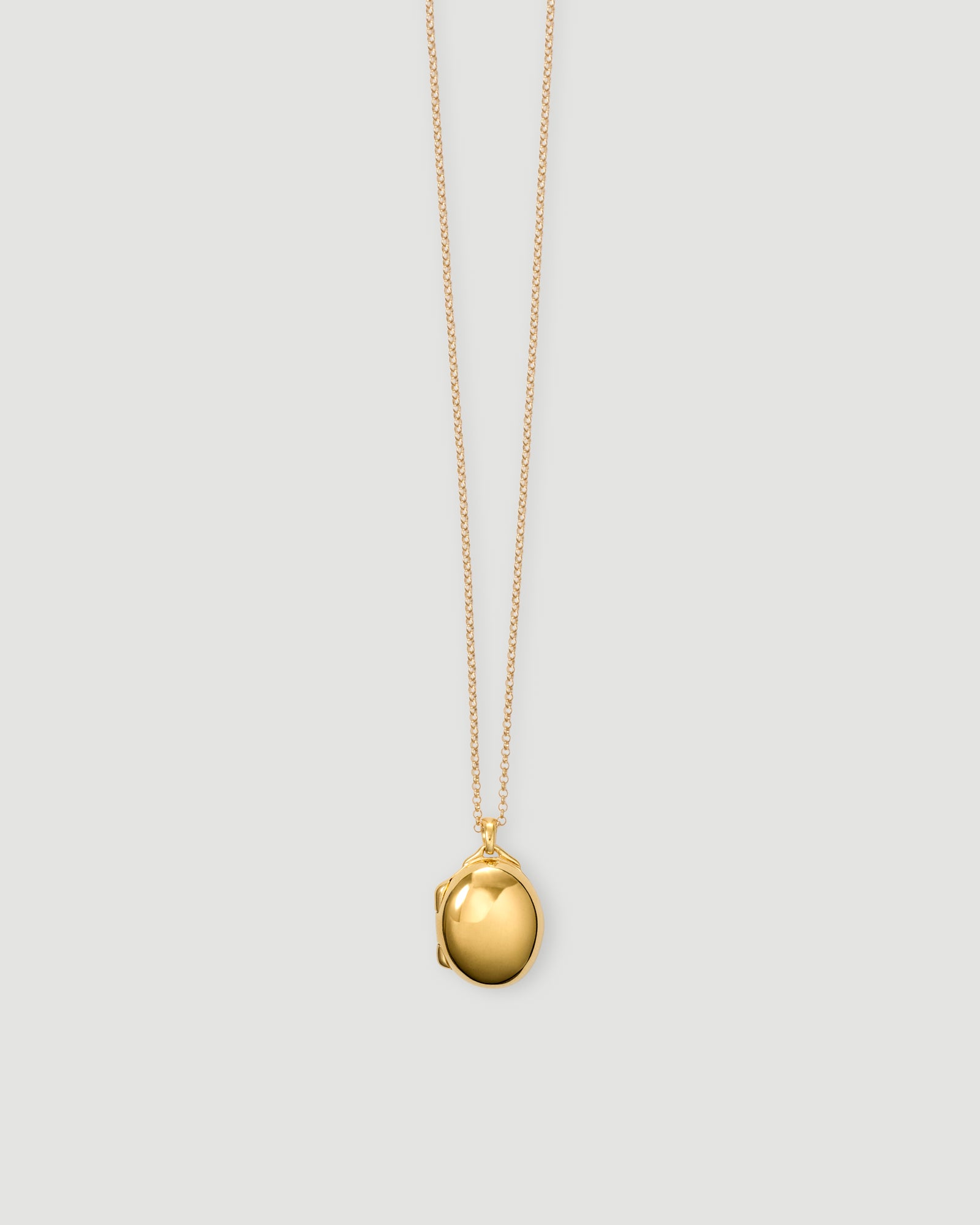 [Order item] locket necklace 01 gold