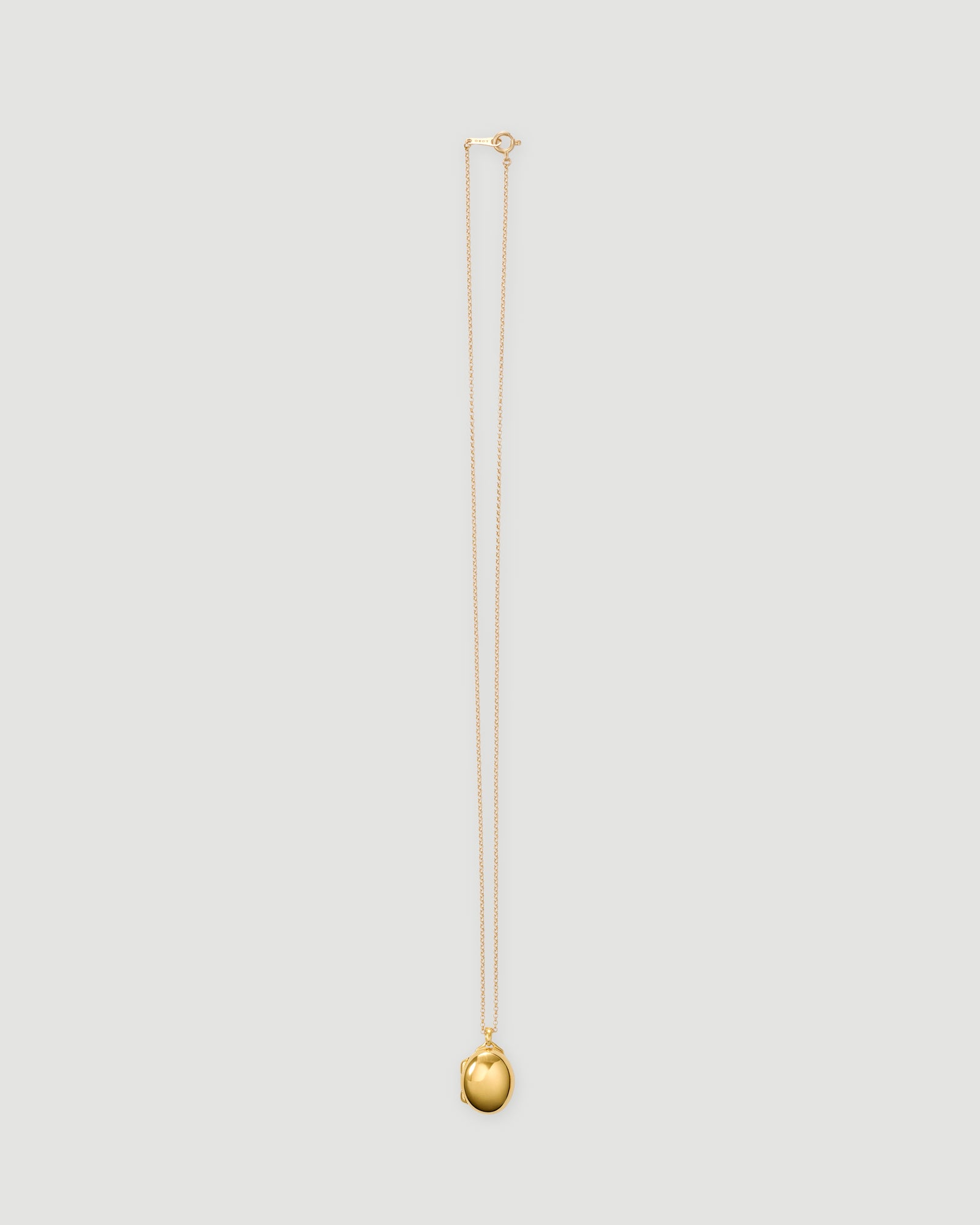 [Order item] locket necklace 01 gold