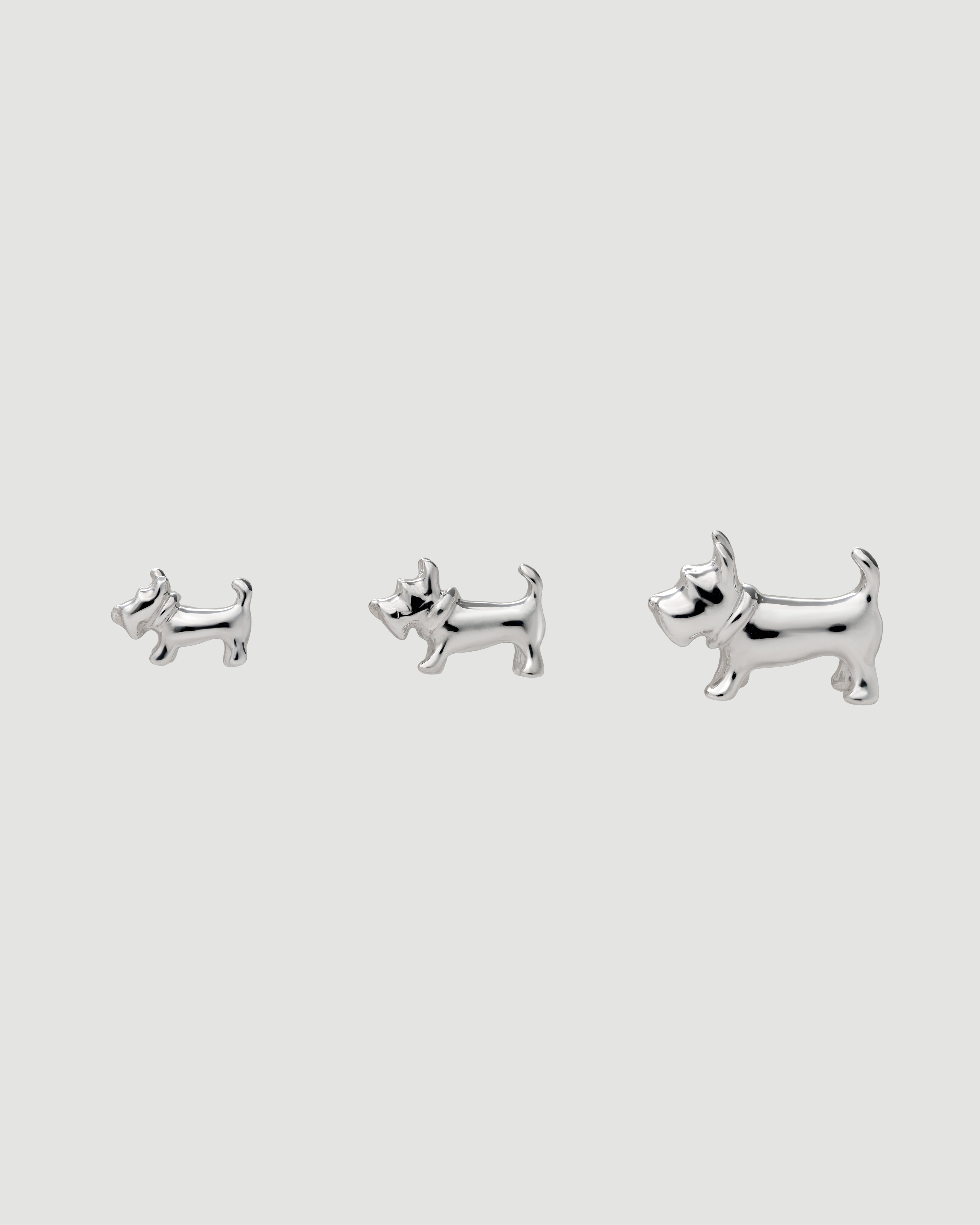 Schnauzer Pierce