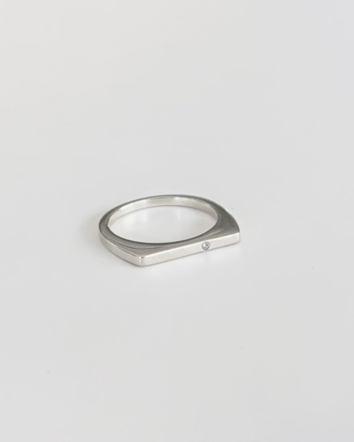 D ring 04