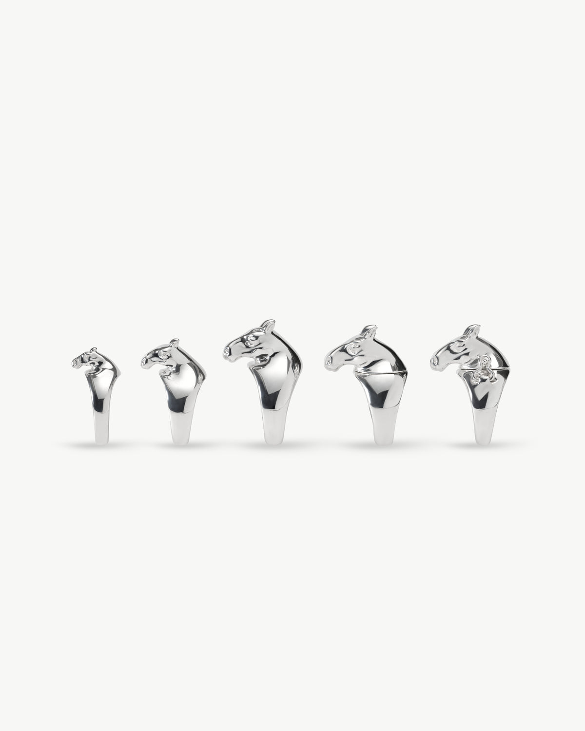 horse ring 01