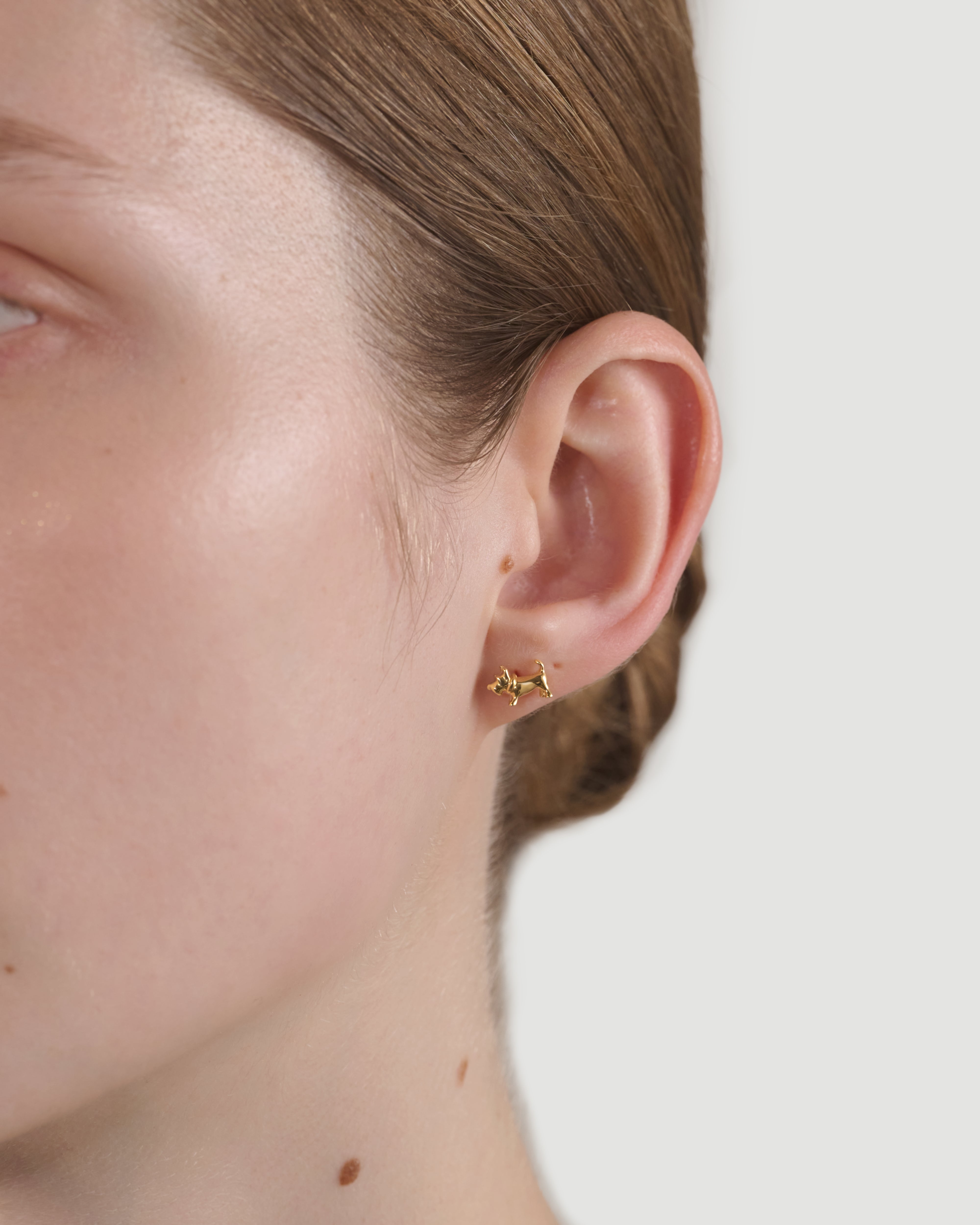 schnauzer pierce K18