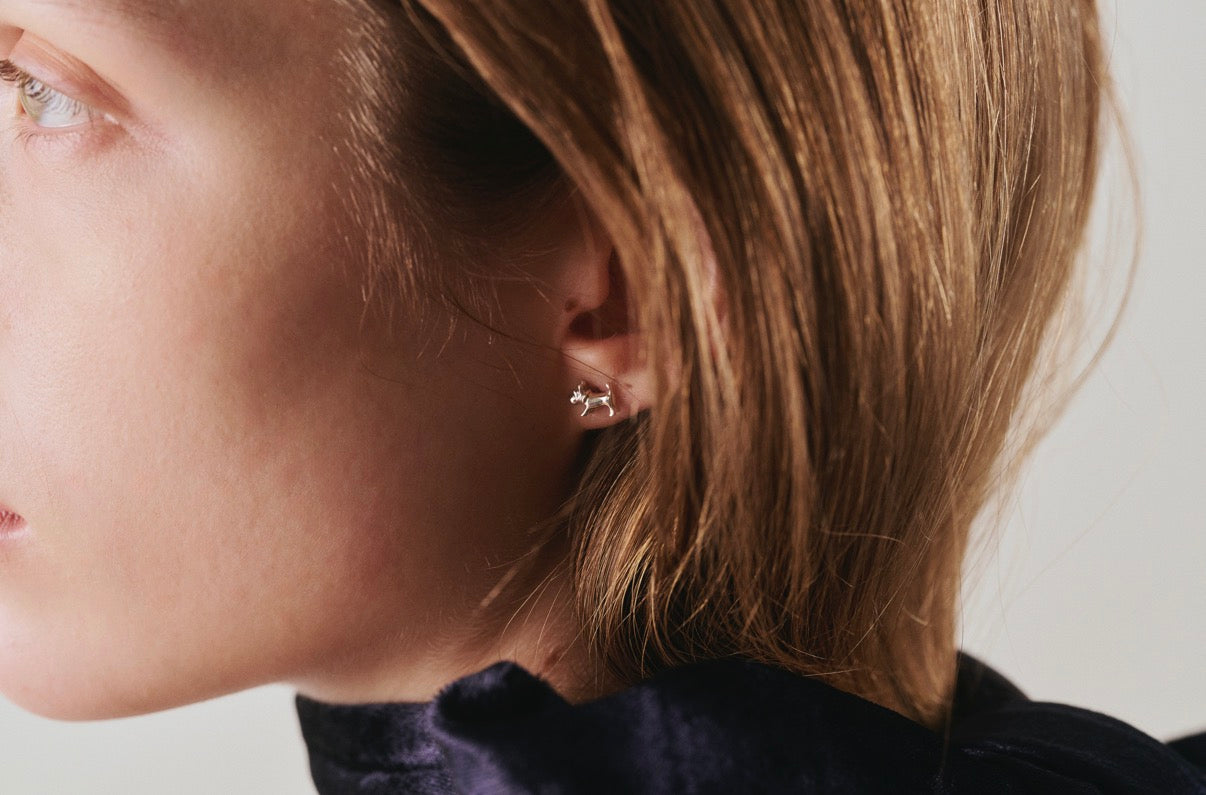 schnauzer pierce pt900