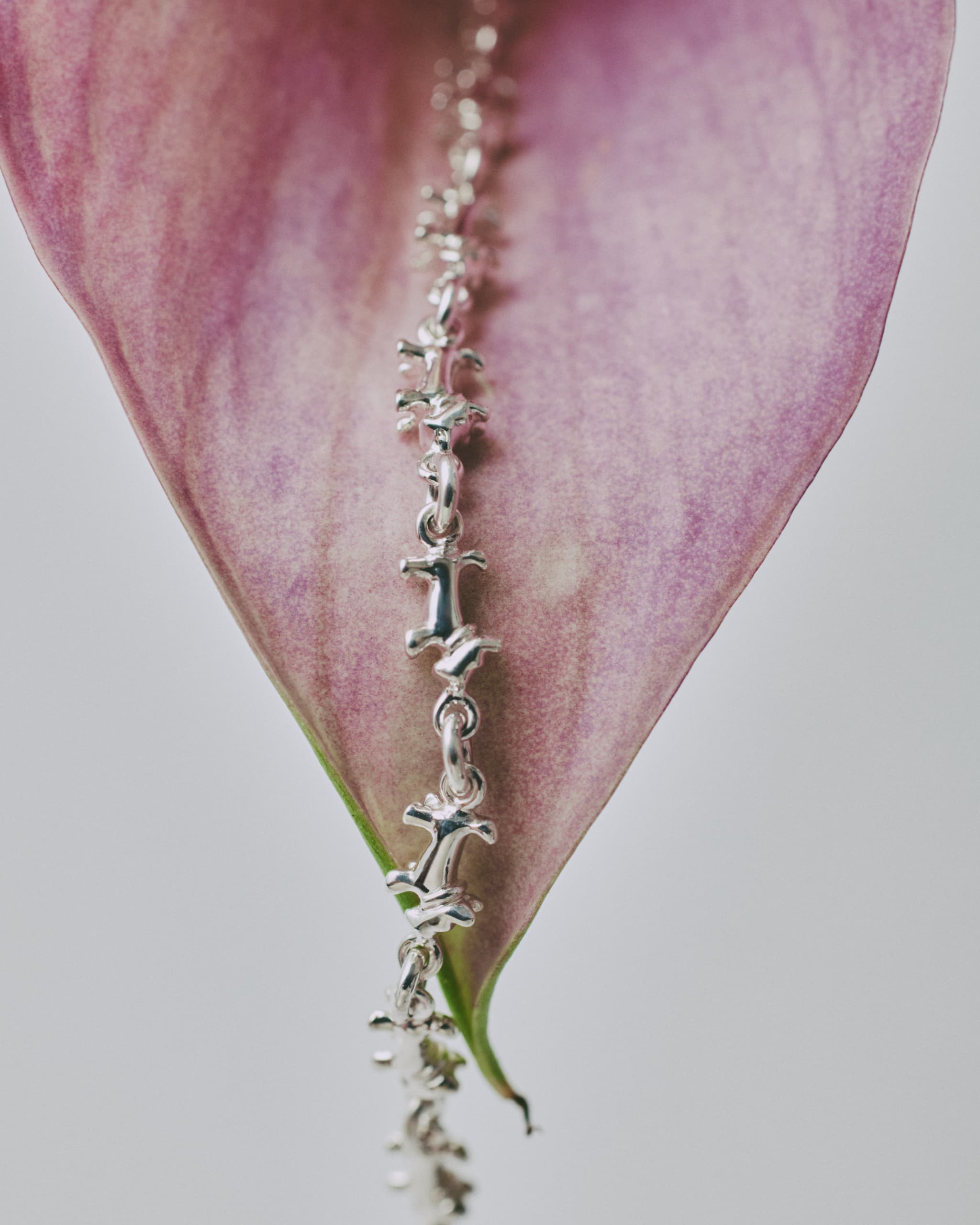 schnauzer chain bracelet 01