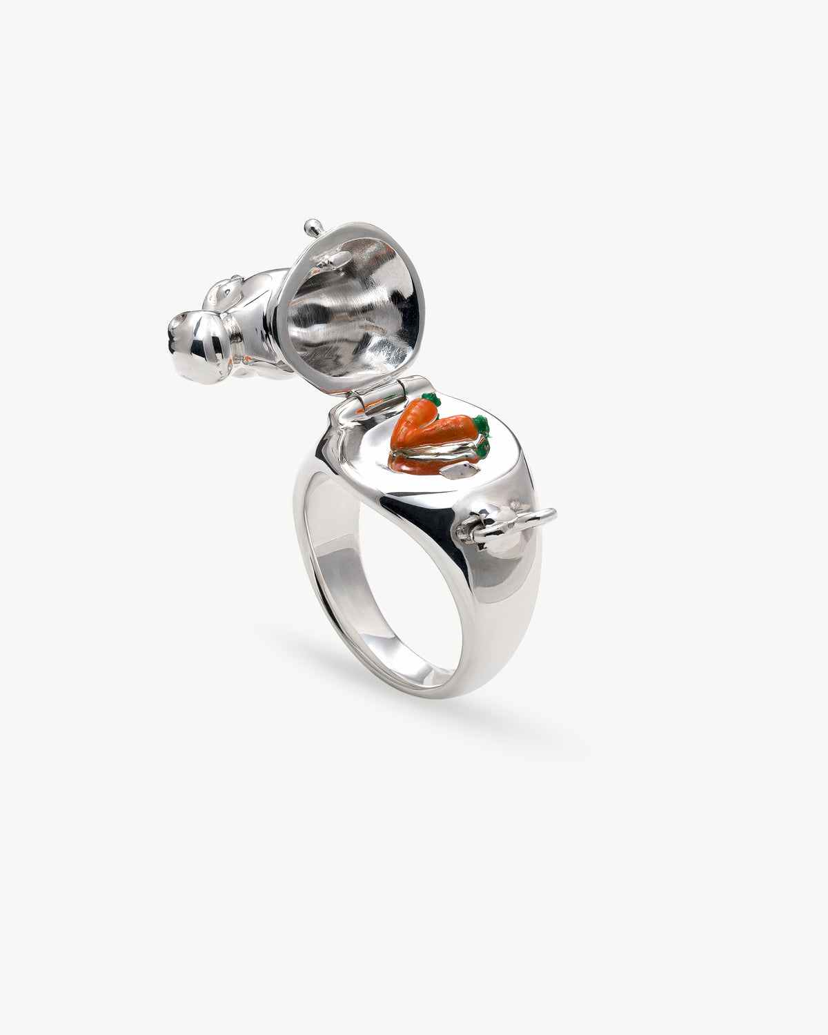 horse ring 05